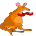 kangaroo jumper