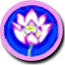 Ostaro APK