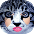 Animal Face : Face Morphing APK