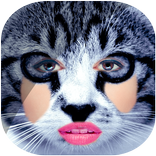 Animal Face : Face Morphing