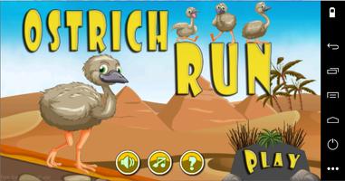 Ostrich Racing Affiche