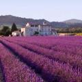 Provence