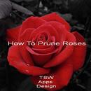 How To Prune Roses APK