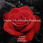 How To Prune Roses icône