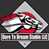 Dare to Dream Stable APK