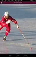 International Bandy Affiche