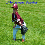 ikon Little League Baseball
