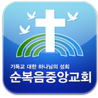 순복음중앙교회 icon