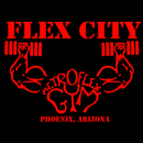 Flex City APK