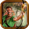 hunting birds arrow bow shoot APK