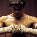 Muay Thai Fitness