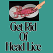 Get Rid Of Head Lice