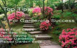 Top Tips For Garden Success Poster