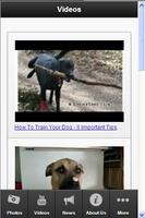 Dog Training Secrets screenshot 1