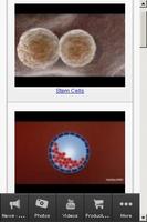 Stem Cell What is It? screenshot 1