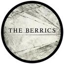 The Berrics Skateboard Park APK