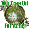 Tea Tree Oil for Acne