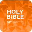 New International Version NIV