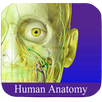 Human Anatomy Guide APK