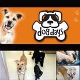 Dog Days Tempe ikon