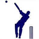 International Cricket APK