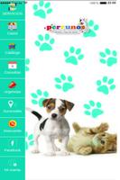 Clínica Veterinaria Perrunos 海報