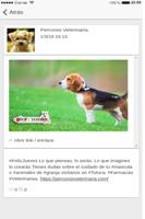 Clínica Veterinaria Perrunos 截圖 3