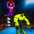 Superhéroe Lucha Batalla Arena anillo Lucha