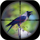 Crazy Crow Sniper Shooting aplikacja