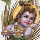 Satyanarayan -Jnana Prabodhini APK