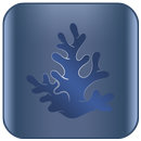 Coral APK