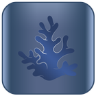 Coral icon