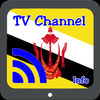 TV Brunei Info Channel 图标