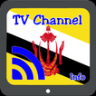 TV Brunei Info Channel