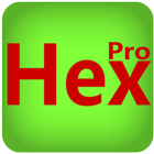 Hex Convertor Pro icône