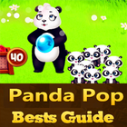 Guide Map For Panda Pop-icoon