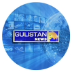 Gulistan News