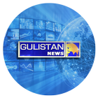 Gulistan News-icoon