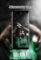 Buffon Wallpapers HD capture d'écran 3