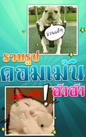 รูปคอมเม้นท์กวนๆฮาๆ รูปตลกกวนๆ screenshot 3