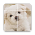 Anak Anjing Puzzle