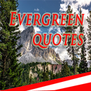 Daily Motivate Quote APK