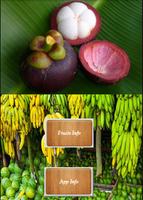 Malaysian Tropical Fruits Poster