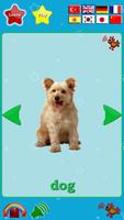 Animals Sounds Cards 截图 2