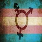 Transgender Support icon