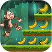Jungle monkey running
