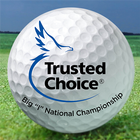 Trusted Choice Big I Ntl Champ icon