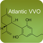 AtlanticVVO আইকন