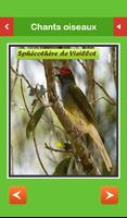 برنامه‌نما Top Chants Oiseaux عکس از صفحه