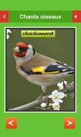 برنامه‌نما Top Chants Oiseaux عکس از صفحه